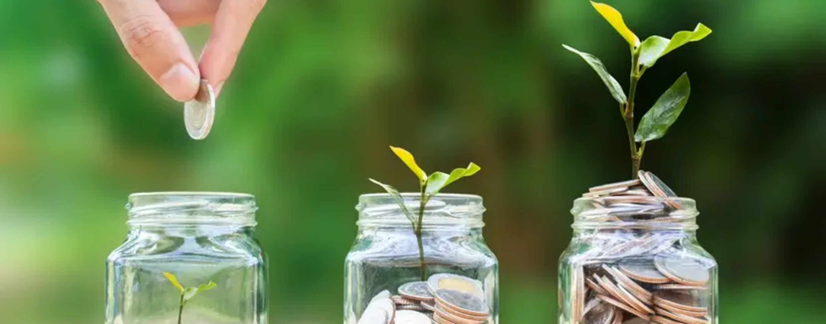 Le rôle de la finance au service de la transition écologique Le rôle de la finance au service de la transition écologique