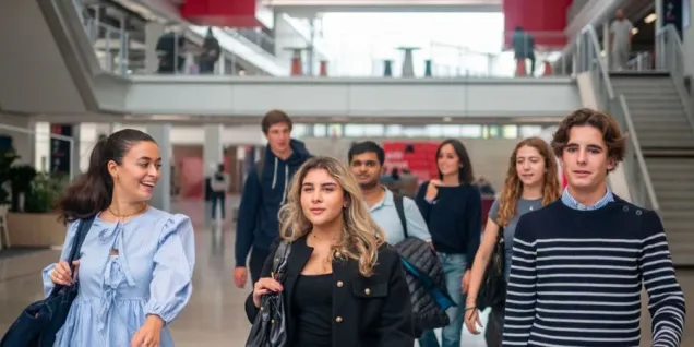 master in management - grande ecole - emlyon