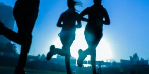 5 Reasons to Study Sports Industry Management