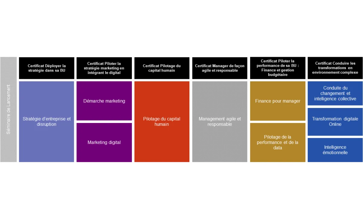 Programme Executive Master Management Général - emlyon business school