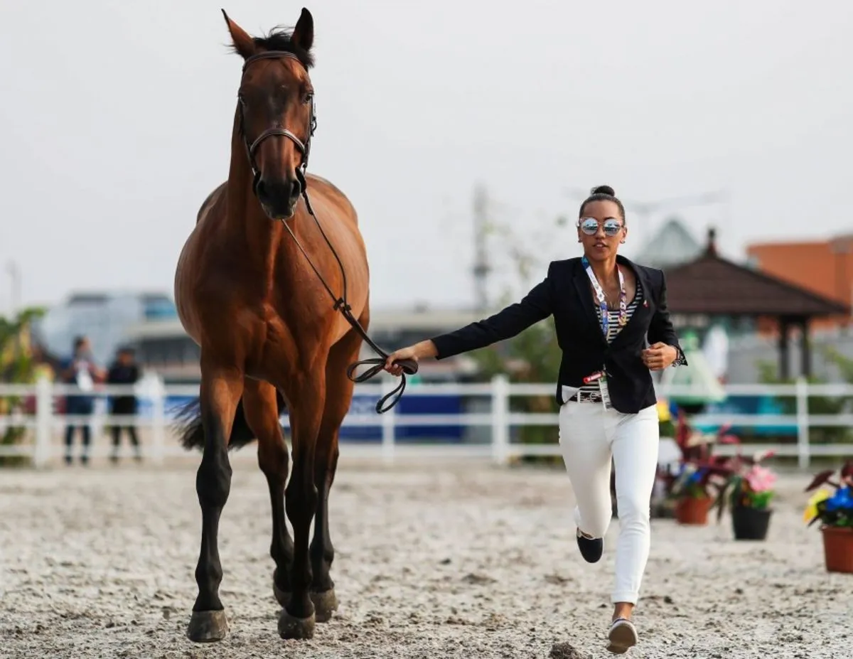 Equestrian picture