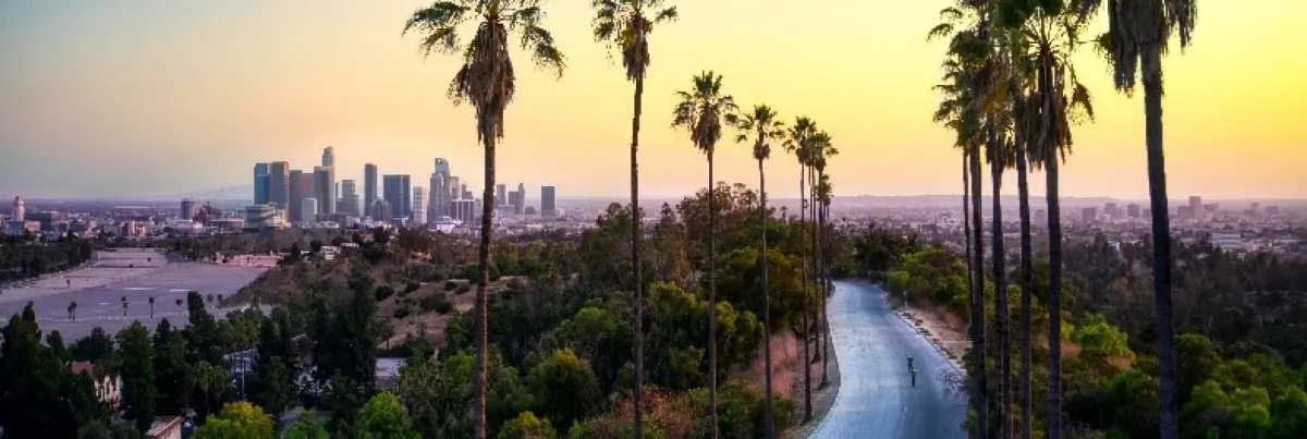 Hello_-Los-Angeles_-MSc-in-International-Hospitality-Management Hello_-Los-Angeles_-MSc-in-International-Hospitality-Management
