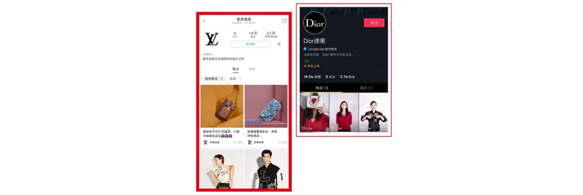 YSL & DIOR
